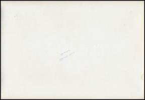 Kilátás a pécsi székesegyházról, 2 db Heltay fotó, pecséttel jelzett, 17x24 cm