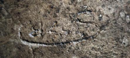 Falra akasztható Lenin-fej, nagyméretű fém plakett, jelzett, 24×19 cm