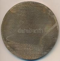 1987. "Dunaújváros - Intercisa" Br emlékérem (75mm) T:2