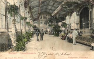 Karlovy Vary, Karlsbad; Sprudel-Kolonnade / spa hall (EK)