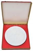 DN "Tamási Lovas Napok" porcelán plakett dísztokban (177mm) T:1-