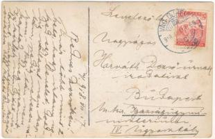 1918 Dogs in the garden, photo (EK)