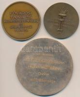 Boldogfai Farkas Sándor (1907-1970) 1955. "Budapest felszabadulásának 10 éves évfordulójára / B...