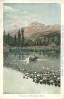 Krummsee bei Kramsach (Tyrol), Innthal XXVIII/9. Wiener Künstler-Postkarte Philipp & Kramer (EK)