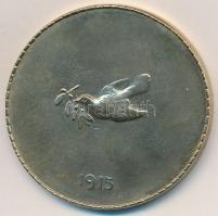 Osztrák-Magyar Monarchia 1915. "Erzsébet Királyné béke medál" aranyozott Br érem "ELI...