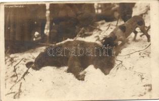 1917 Karpathenbär; kilőtt medve a Kárpátokban / hunting, dead bear, photo K.u.K. Gebirgsartillerieregiment Nr. 26.