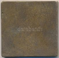 DN "Bethlen Gábor" Br egyoldalas tallér csegely plakett (45mm) T:2