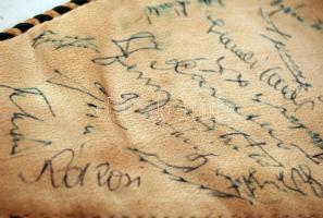 1968 FTC (Fradi) zászló Varga Zoltán dedikációjával,  valamint az akkori csapat többi tagjának aláír...