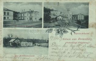 1899 Sopron, Oedenburg; Brennbergbánya, Brennberg; kancellária / Kanzlei, Aus Zehreichenwald, floral (EK)