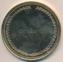 DN "A Hazáért - Katonai Felderítő Hivatal" aranyozott fém emlékérem (60mm) T:2