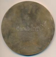 ~1970-1980. "Ózd városért" Br plakett (100mm) T:2