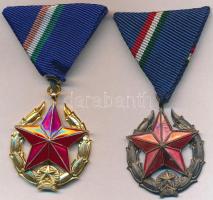 1951. "Közbiztonsági Érem" arany és ezüst fokozatai a rendőrség tagjai részére, zománcozott kitüntetések mellszalagon T:2