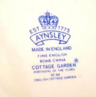 Aynsley pillangós váza, matricás, jelzett, hibátlan, m:23 cm