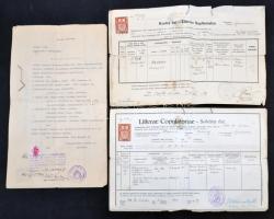 3 db csehszlovák okmány a 30-as évekből, mindegyikhez hiteles magyar fordítás