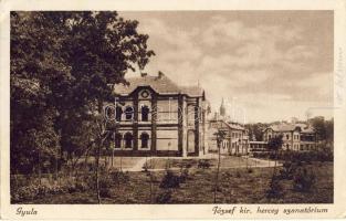 Gyula Szanatorium (EB)