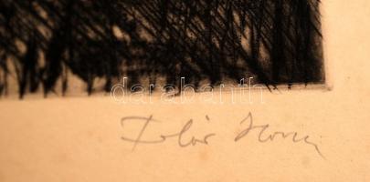 Fehér Ilona (1913-1983): Csongrád környéki táj. Rézkarc, papír, jelzett, 29×37 cm