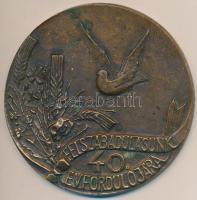 1985. "Felszabadulásunk 40. évfordulójára" egyoldalas Br érem. Szign.: BB (91mm) T:2 kis ph.