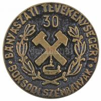 DN "Borsodi Szénbányák - 30 év bányászati tevékenységért" egyoldalas fém érem (78mm) T:2