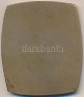 DN "Magyar Bélyeggyűjtők Országos Szövetsége" egyoldalas Br plakett (65x55,5mm) T:2