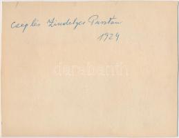 1924-1925 Zsindelyes-puszta mezőgazdasági munkák, cséplés, négyesfogat. A képek összes szereplője, m...