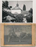 cca 1880-1970 Vegyes fotó tétel, 7db, különböző méretben és minőségben, 6x10cm és 13x20cm