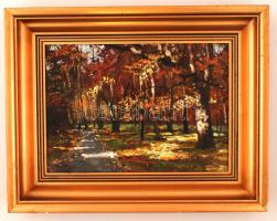 Hornyik Zoltán (1960- ): Erdei fények, olaj, farost, keretben, 25×35 cm