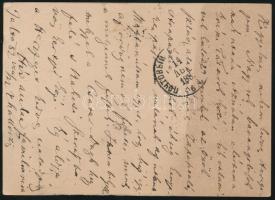 1882 Thallóczy Lajos (1856-1916) történész, a Magyar Történelmi Társulat elnöke, politikus saját kéz...