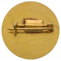 DN "Országos Erdészeti Egyesület 1866." zománcozott fém jelvény T:2