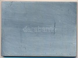 NDK ~1970-1980. "Frankfurt, 101-es körzet - Tartomány a barátság viharában" fém plakett (9...