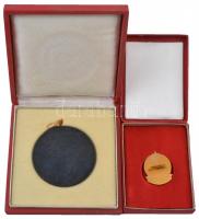 ~1970-1980. "Társadalmi Munkáért - Hajdu-Bihar Megye Tanácsa" zománcozott fém jelvény (33x...