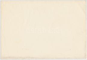 Budapest 1931. "Rákoscsabai Strandfürdő Részvénytársaság" részvények 50P-ről, bélyegzésekk...