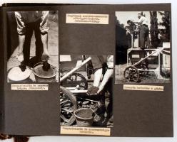cca 1950 Növény nemesítés Keszthelyen, Balatonakarattyán és az ország más településein, fotóalbum fe...