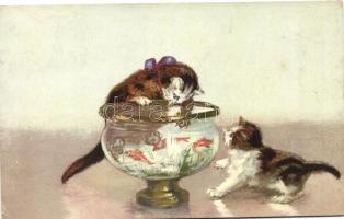 Cats with aquarium (EK)