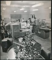 1972 Budapest, Chinoin Gyógyszergyár, vintage fotó, 20,5x18,5 cm