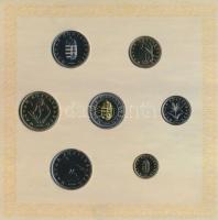 2008. 1Ft-100Ft 7klf db + Mátyás denár Ag fantáziaverete "Reneszánsz emlékév" dísztokos sz...