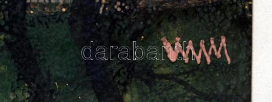 W. Wieger Mariann (1954-): Vízpart. Akvarell, papír, jelzett, üvegezett keretben, 47×36 cm