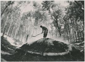 cca 1975 Szilvásvárad, szénégető boksa a Bükk-hegységben, vintage fotó, 16x22 cm