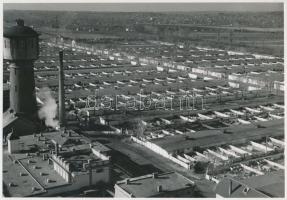 1961 Budapest, a nagytétényi sertéshizlalda látképe, vintage fotó, 16x23 cm