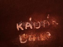 Kádár jelzéssel: Háziállatok. Olaj, karton, 100×70 cm