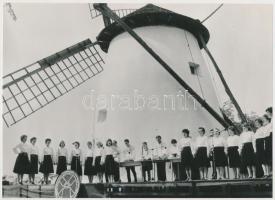 cca 1975 Kiskundorozsma, népzenei találkozó a műemlék szélmalom tövében, vintage fotó, 17x23 cm