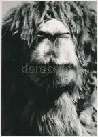 cca 1975 Zsigri Oszkár (1933-?): Hippi, jelzés nélküli vintage fotóművészeti alkotás a szerző hagyatékából, 24x17 cm