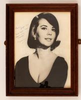 Natalie Wood (1938-1981) kétszeres Golden Globe-díjas, háromszoros Oscar-díj-jelölt amerikai színésznő saját kezű aláírása egy a művésznőt ábrázoló fotón, üvegezett keretben, 25x20cm