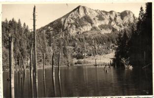 1937 Gyilkos tó, Lacul Rosu; facsonkok a tóban / tree stumps in the lake, photo (fa)