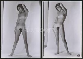 Átlátszó bikiniben, 5 db finoman erotikus fénykép, korabeli negatívokról készült modern nagyítások, ...