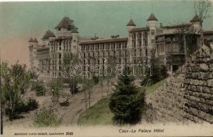 Caux, Palace Hotel