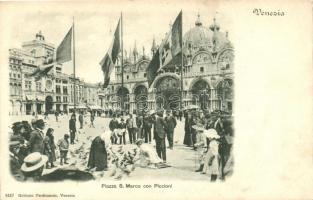 Venice, Venezia; Piazza S. Marco con Piccioni / St. Mark's square with pigeons