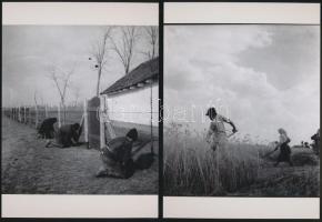 cca 1930 Békéscsaba környéki életképek, Thöresz Dezső (1902-1963) hagyatékában őrzött 6 db negatív m...