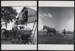 cca 1930 Békéscsaba környéki életképek, Thöresz Dezső (1902-1963) hagyatékában őrzött 6 db negatív m...