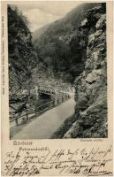 Petrozsény, Petrosani; Szurduki szoros, híd, kiadja Joánovits és Sternád / gorge, bridge (EB)
