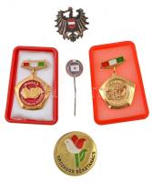 5db-os vegyes jelvény tétel, közte magyar szocialista jelvények egy osztrák címeres zománcozott fém jelvénnyel (28,5x28mm), ~1970-1980. "Országos Béketanács" festett fém jelvény (34mm) T:vegyes